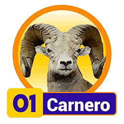 Carnero