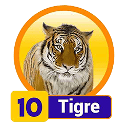 Tigre