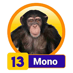 Mono