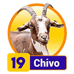 Chivo