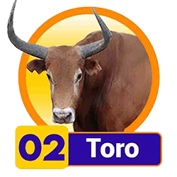 Toro