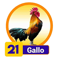 Gallo