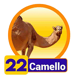 Camello