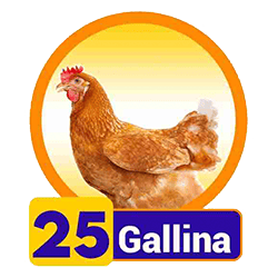 Gallina