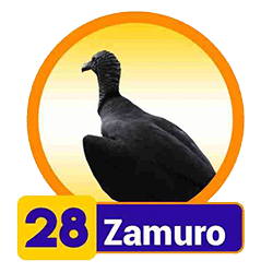 Zamuro