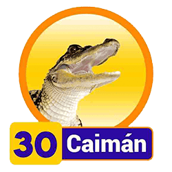 Caimán