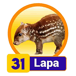 Lapa