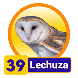 Lechuza