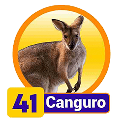 Canguro