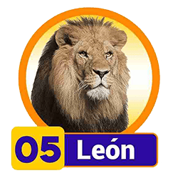 León