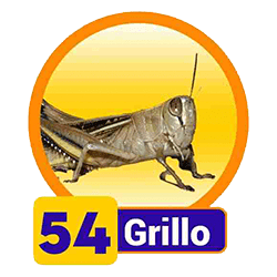 Grillo