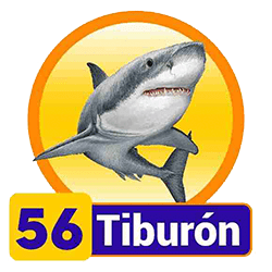 Tiburón