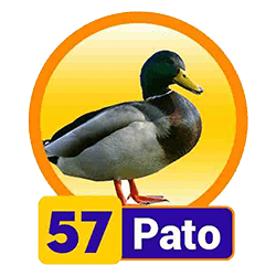 Pato
