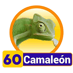 Camaleón