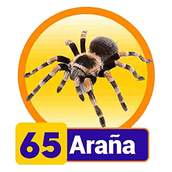 Araña