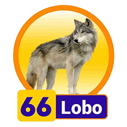 Lobo