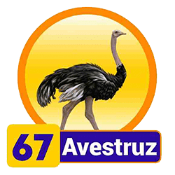 Avestruz