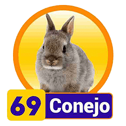 Conejo