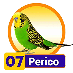 Perico