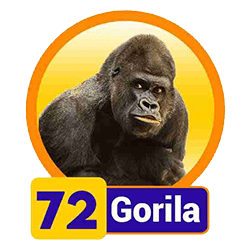 Gorila