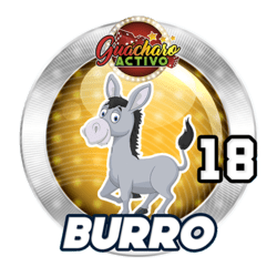 Burro
