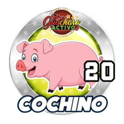 Cochino