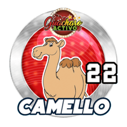 Camello
