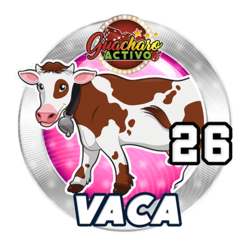 Vaca