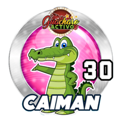 Caimán