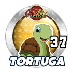 Tortuga