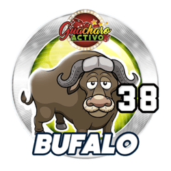 Búfalo
