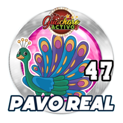Pavo Real
