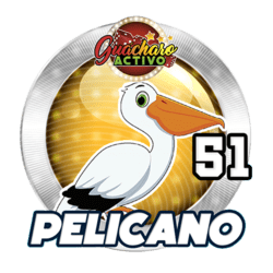 Pelicano