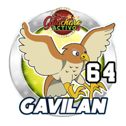 Gavilán