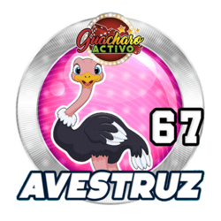 Avestruz