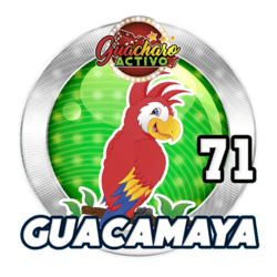 Guacamaya