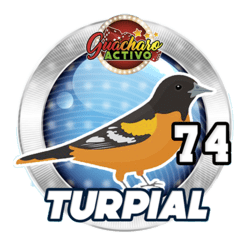 Turpial