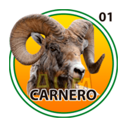 Carnero