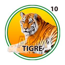 Tigre