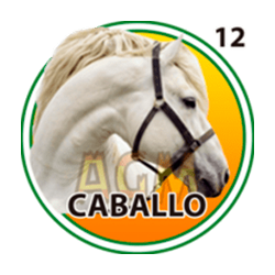 Caballo