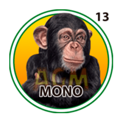 Mono