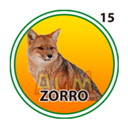 Zorro