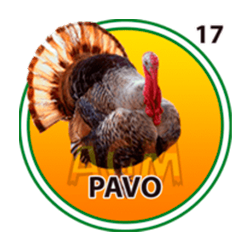 Pavo