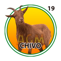 Chivo