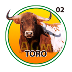 Toro