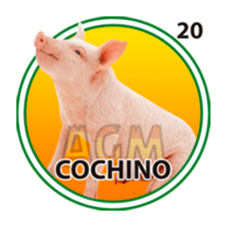 Cochino