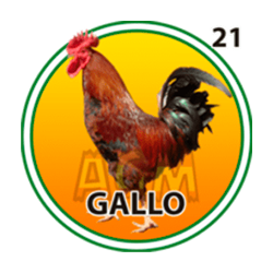 Gallo