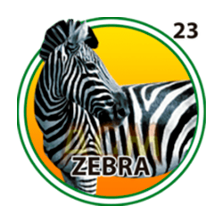 Cebra