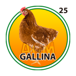 Gallina