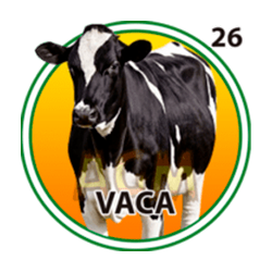 Vaca